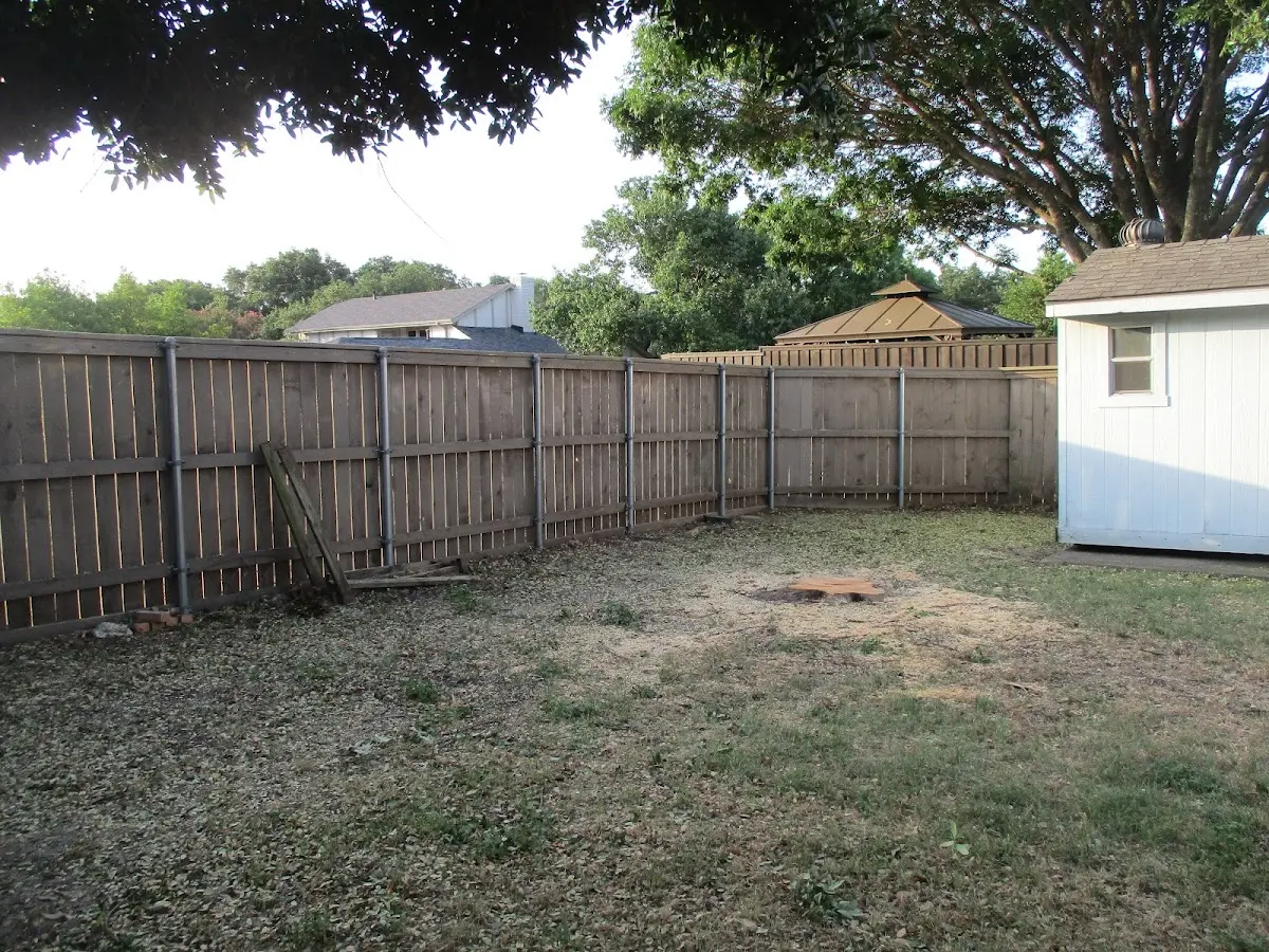 Cleared yard after professional tree removal in Harpers Ferry
