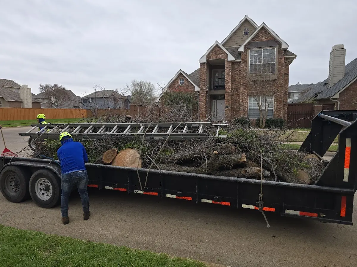 Expert Tree Pest Control with proper safety equipment in Harpers Ferry